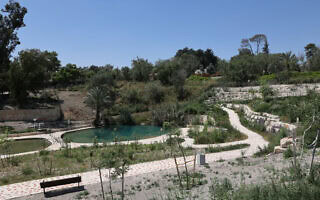 עין יהודה המחודש (צילום: שי אייזקס, רשות הטבע והגנים) עין יהודה המחודש (צילום: שי אייזקס, רשות הטבע והגנים)
