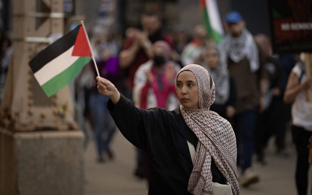 מחאה נגד המלחמה בעזה באזור הוועדה הדמוקרטית הלאומית, שיקגו, אילינוי, 21 באוגוסט 2024 (צילום: Scott Olson/Getty Images/AFP) מחאה נגד המלחמה בעזה באזור הוועדה הדמוקרטית הלאומית, שיקגו, אילינוי, 21 באוגוסט 2024 (צילום: Scott Olson/Getty Images/AFP)