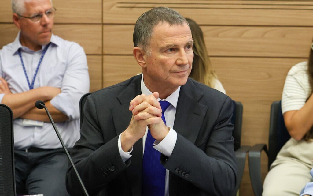 יולי אדלשטיין בישיבת ועדת הכנסת, 4 באוגוסט 2025 (צילום: דני שם טוב, דוברות הכנסת) יולי אדלשטיין בישיבת ועדת הכנסת, 4 באוגוסט 2025 (צילום: דני שם טוב, דוברות הכנסת)