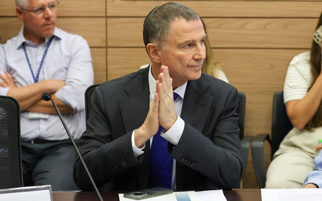 יולי אדלשטיין בישיבת ועדת הכנסת, 4 באוגוסט 2025 (צילום: דני שם טוב, דוברות הכנסת) יולי אדלשטיין בישיבת ועדת הכנסת, 4 באוגוסט 2025 (צילום: דני שם טוב, דוברות הכנסת)