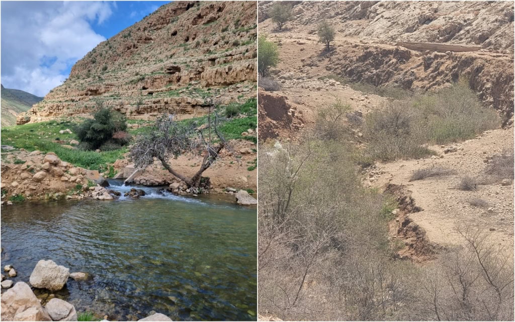 מימין: אפיק נחל ייט"ב (העוג'ה) הצחיח, אוגוסט 2025. משמאל: תיעוד של הנחל בעבר (צילום: אביב לביא, יעל ישראל, מונטז') מימין: אפיק נחל ייט"ב (העוג'ה) הצחיח, אוגוסט 2025. משמאל: תיעוד של הנחל בעבר (צילום: אביב לביא, יעל ישראל, מונטז')