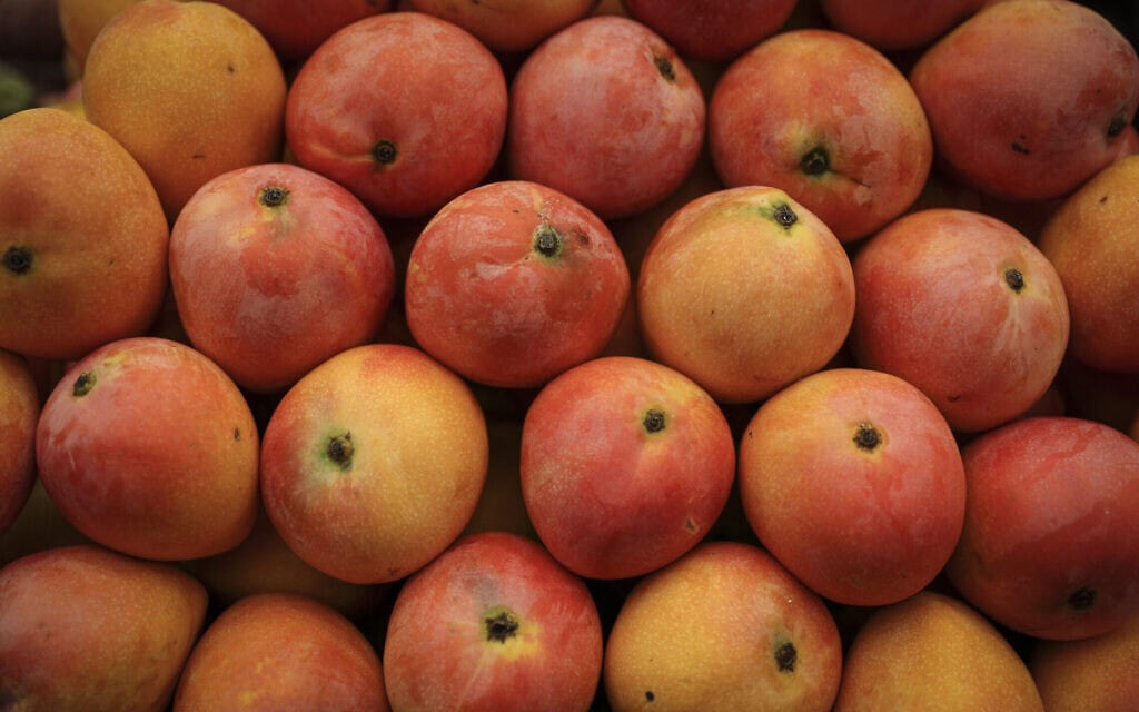 מנגו בשוק מחנה יהודה, 27 ביולי 2016 (צילום: נתי שוחט/פלאש90) מנגו בשוק מחנה יהודה, 27 ביולי 2016 (צילום: נתי שוחט/פלאש90)