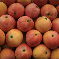 מנגו בשוק מחנה יהודה, 27 ביולי 2016