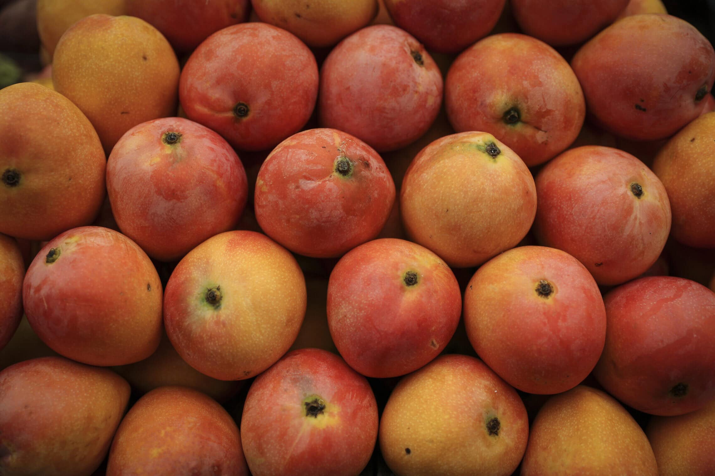 מנגו בשוק מחנה יהודה, 27 ביולי 2016 (צילום: נתי שוחט/פלאש90)