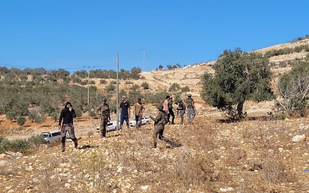 חיילים ומתנחלים במטע זיתים ליד הכפר דיר עמאר באזור רמאללה, 16 באוקטובר 2025 (צילום: עומדים ביחד) חיילים ומתנחלים במטע זיתים ליד הכפר דיר עמאר באזור רמאללה, 16 באוקטובר 2025 (צילום: עומדים ביחד)