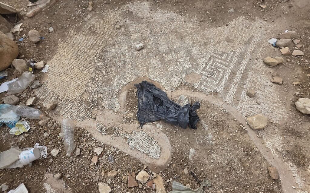 פסיפס בבית המרחץ שבנה הורדוס בפצאליס, נובמבר 2025 (צילום: אורי ארליך) פסיפס בבית המרחץ שבנה הורדוס בפצאליס, נובמבר 2025 (צילום: אורי ארליך)