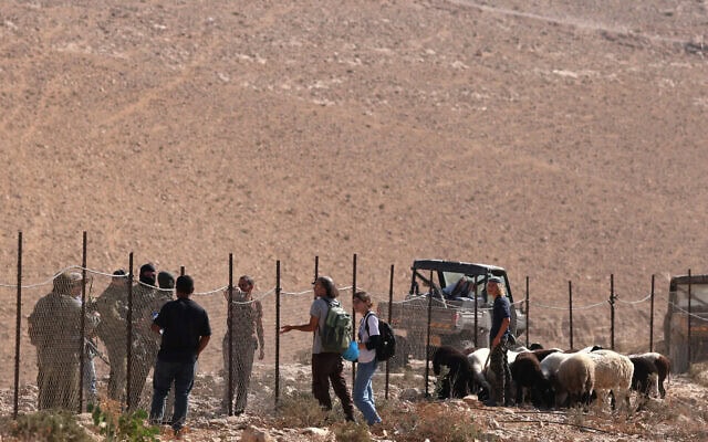 פלסטינים וכוחות צה"ל בכפר יטה שבגדה המערבית בזמן שמתנחל רועה את עדרו בשטח הכפר, 9 בנובמבר 2025
