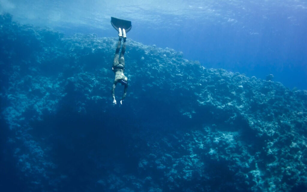 צוללן במעמקי "החור הכחול" בדהב, סיני. אילוסטרציה (צילום: Sergey Orlov via Alamy) צוללן במעמקי "החור הכחול" בדהב, סיני. אילוסטרציה (צילום: Sergey Orlov via Alamy)