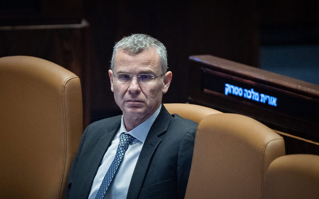 שר המשפטים יריב לוין במליאת הכנסת, מאי 2025 (צילום: יונתן זינדל/פלאש90)