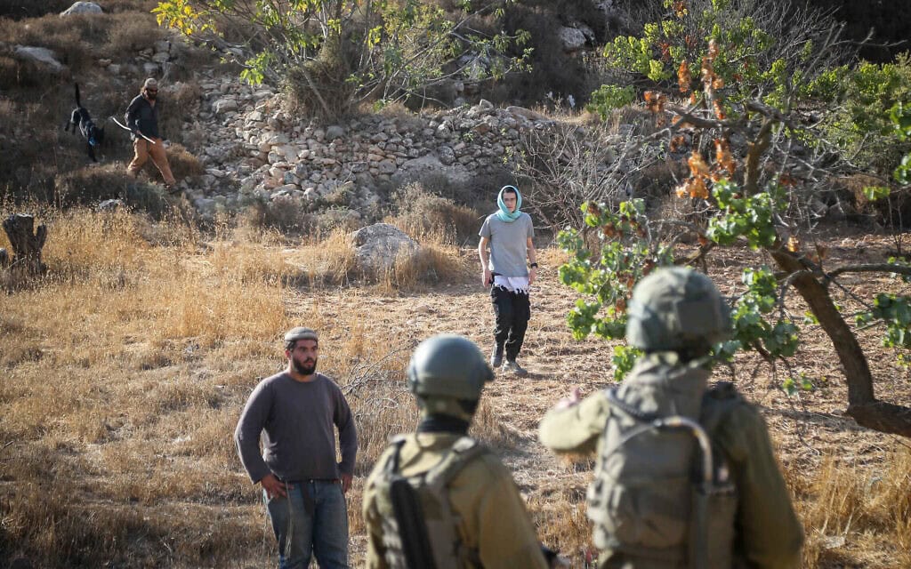 חיילי צה"ל מתעמתים עם מתנחלים המפריעים לפלסטינים למסוק את עצי הזית שלהם בכפר סעיר שבנפת חברון, 23 באוקטובר 2025 (צילום: Wisam Hashlamoun/Flash90) חיילי צה"ל מתעמתים עם מתנחלים המפריעים לפלסטינים למסוק את עצי הזית שלהם בכפר סעיר שבנפת חברון, 23 באוקטובר 2025 (צילום: Wisam Hashlamoun/Flash90)