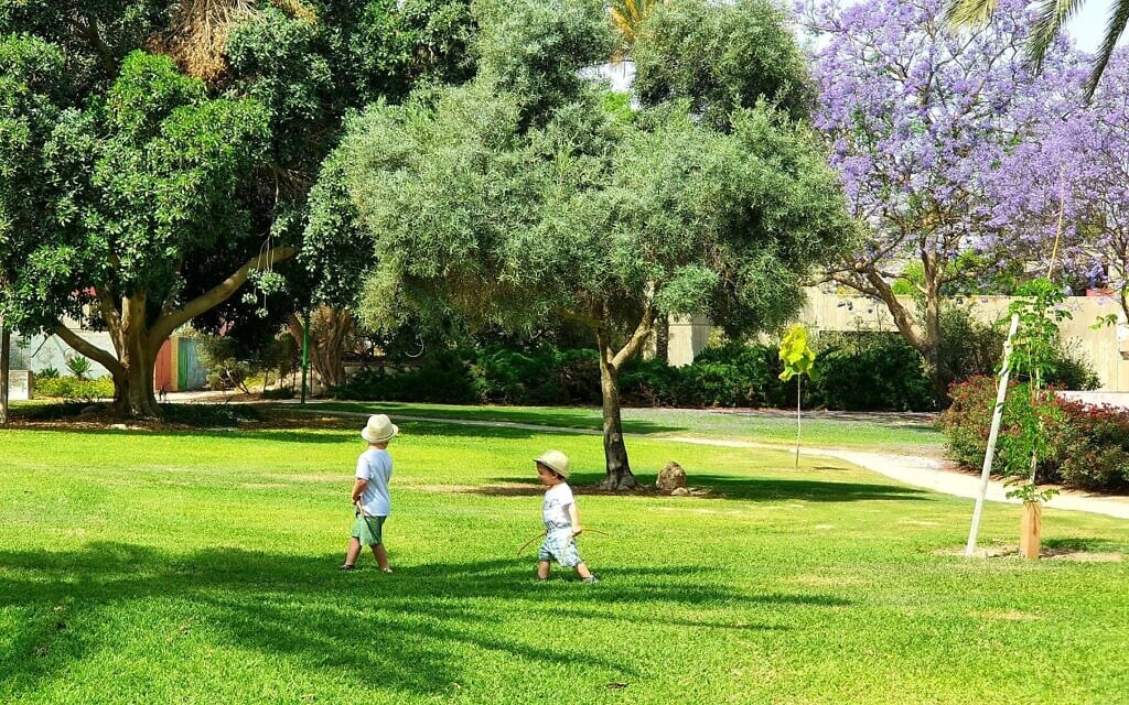 ילדיה של ניר כספי - אז בני שלוש ושנתיים - משחקים במדשאות קיבוץ חולית לפני מתקפת חמאס בשבעה באוקטובר (צילום: ניר כספי) ילדיה של ניר כספי - אז בני שלוש ושנתיים - משחקים במדשאות קיבוץ חולית לפני מתקפת חמאס בשבעה באוקטובר (צילום: ניר כספי)