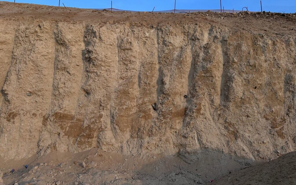 הקיר שנותר מהמצוק בגבעת העלייה ביפו, נובמבר 2025 (צילום: אורנה מרטון) הקיר שנותר מהמצוק בגבעת העלייה ביפו, נובמבר 2025 (צילום: אורנה מרטון)