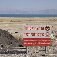 חמי עין גדי, 2025
