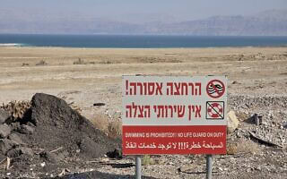 חמי עין גדי, 2025 (צילום: אביב לביא) חמי עין גדי, 2025 (צילום: אביב לביא)