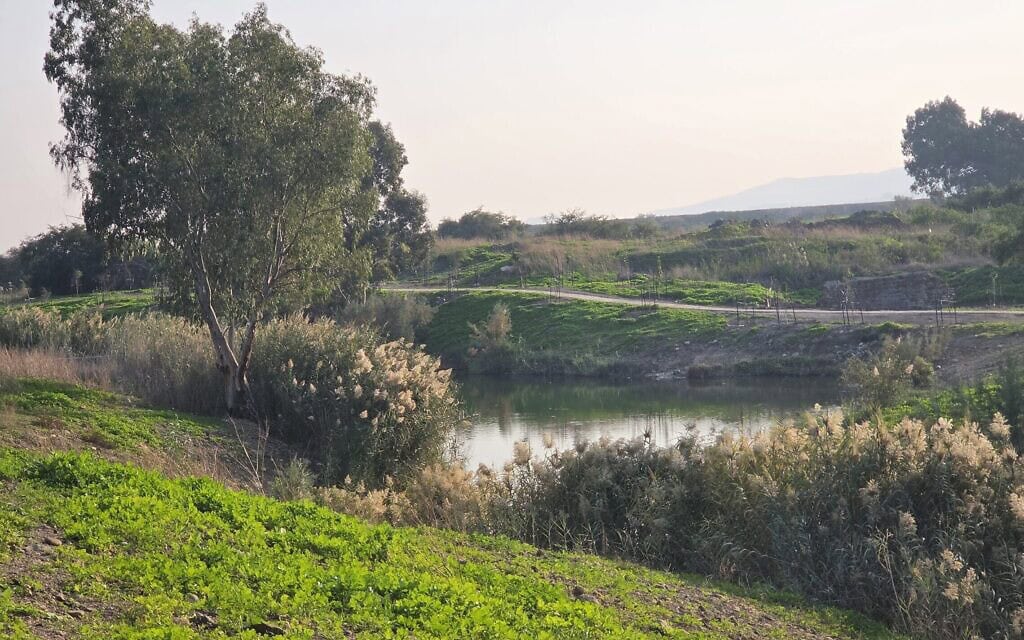 הירדן הדרומי, דצמבר 2025 (צילום: אביב לביא) הירדן הדרומי, דצמבר 2025 (צילום: אביב לביא)