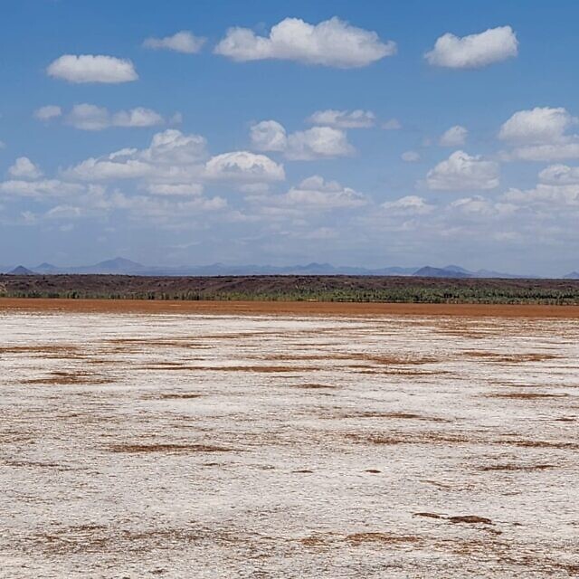 המדבר של צפון קניה, 2025 (צילום: שמעון רחמילביץ') המדבר של צפון קניה, 2025 (צילום: שמעון רחמילביץ')