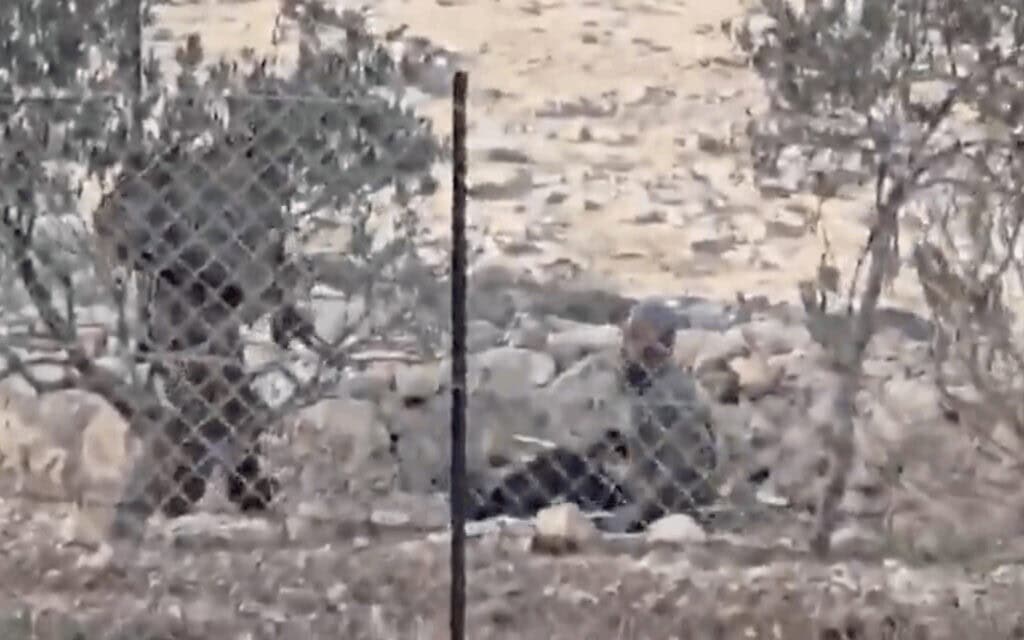 החייל מכוון את נשקו לשייח סעיד אל־עמור, ביום שישי (צילום: שימוש לפי סעיף 27א' לחוק זכויות יוצרים) החייל מכוון את נשקו לשייח סעיד אל־עמור, ביום שישי (צילום: שימוש לפי סעיף 27א' לחוק זכויות יוצרים)