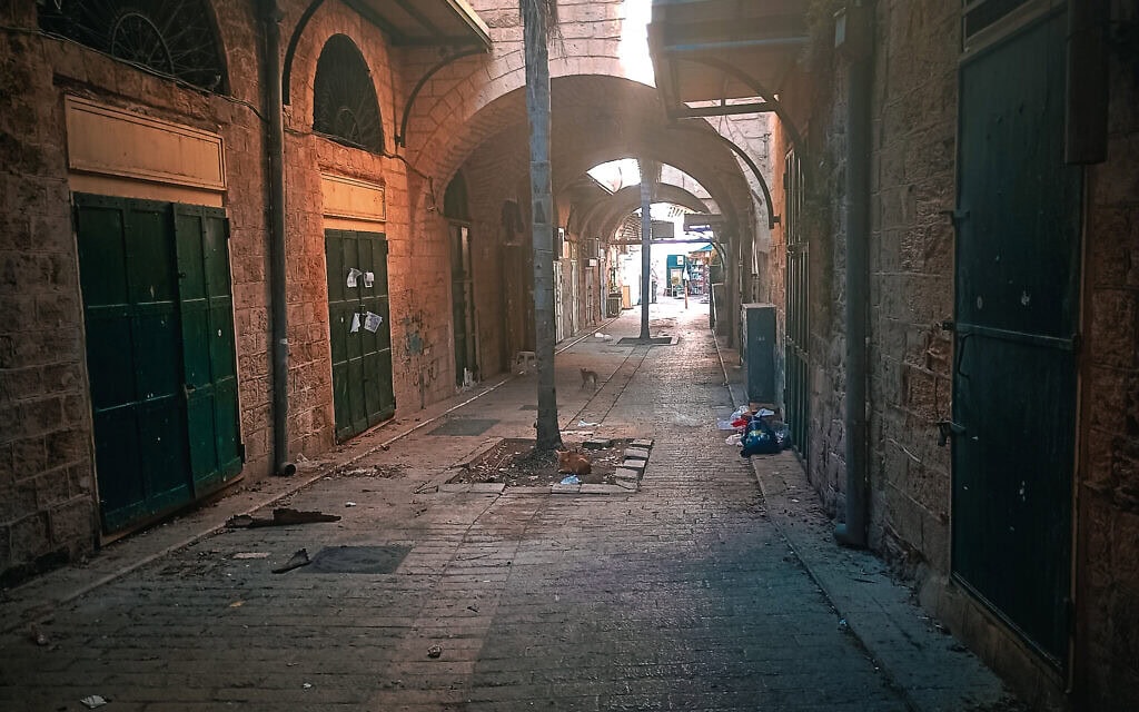 השוק בעיר העתיקה של נצרת שומם לגמרי, אוקטובר 2025 (צילום: אליהו פרידמן) השוק בעיר העתיקה של נצרת שומם לגמרי, אוקטובר 2025 (צילום: אליהו פרידמן)