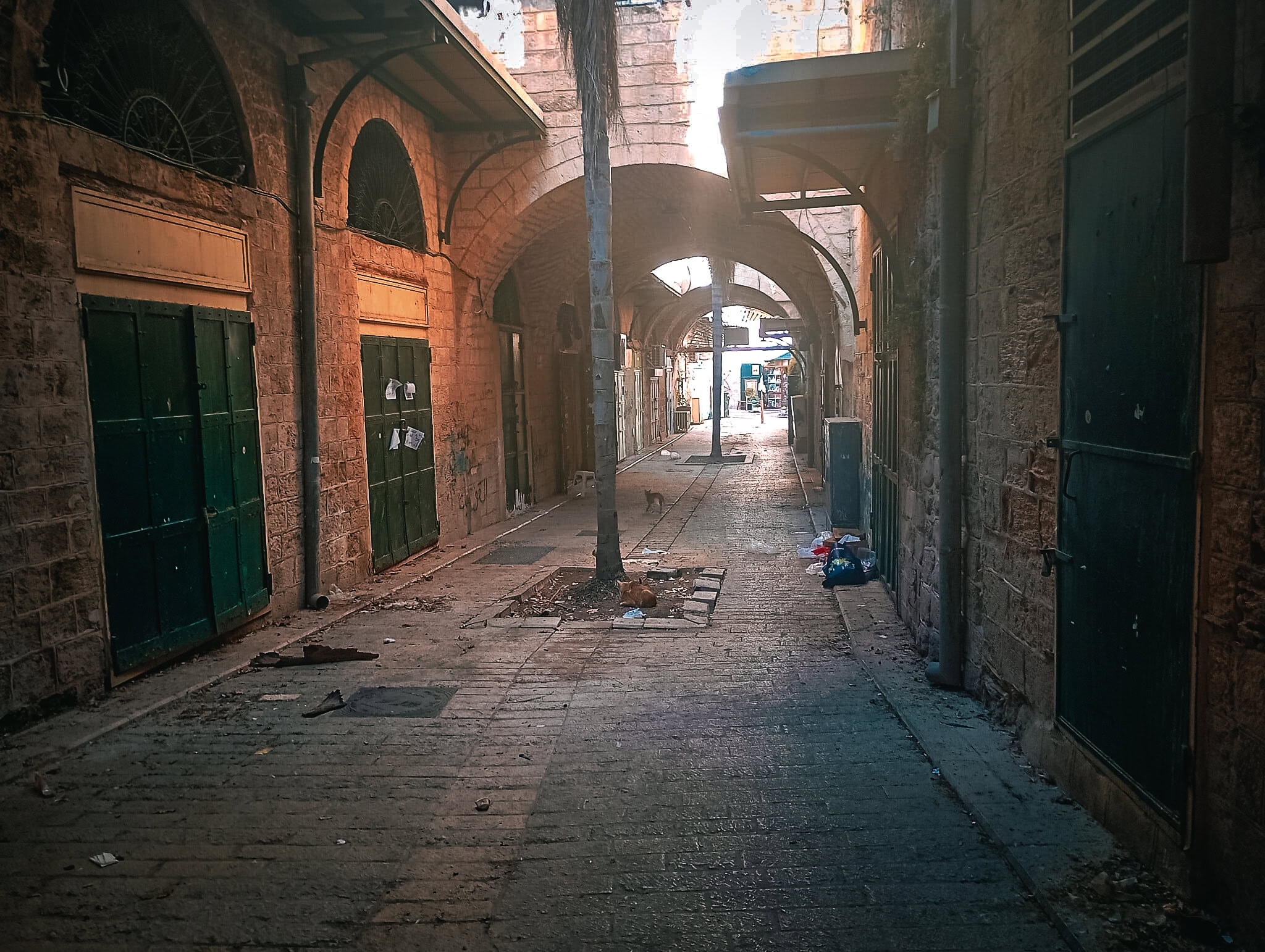 השוק בעיר העתיקה של נצרת שומם לגמרי, אוקטובר 2025 (צילום: אליהו פרידמן) השוק בעיר העתיקה של נצרת שומם לגמרי, אוקטובר 2025 (צילום: אליהו פרידמן)