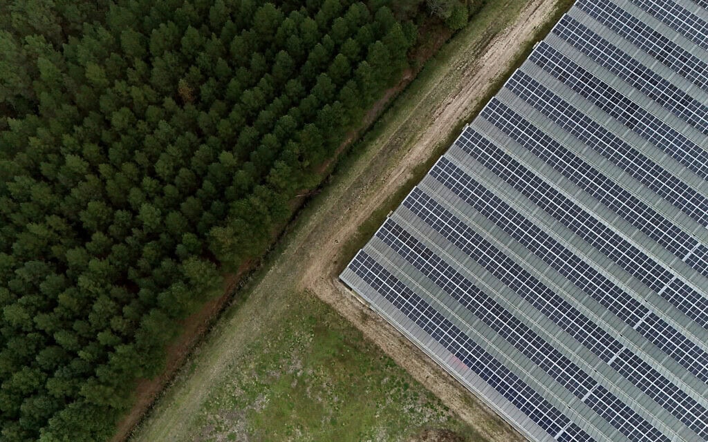 פרויקט אגרו־וולטאי בדרום־מערב צרפת, 3 באוקטובר 2025 (צילום: Christophe ARCHAMBAULT / AFP) פרויקט אגרו־וולטאי בדרום־מערב צרפת, 3 באוקטובר 2025 (צילום: Christophe ARCHAMBAULT / AFP)