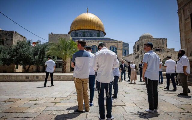 הר הבית, מאי 2025 (צילום: יונתן זינדל/פלאש90) הר הבית, מאי 2025 (צילום: יונתן זינדל/פלאש90)