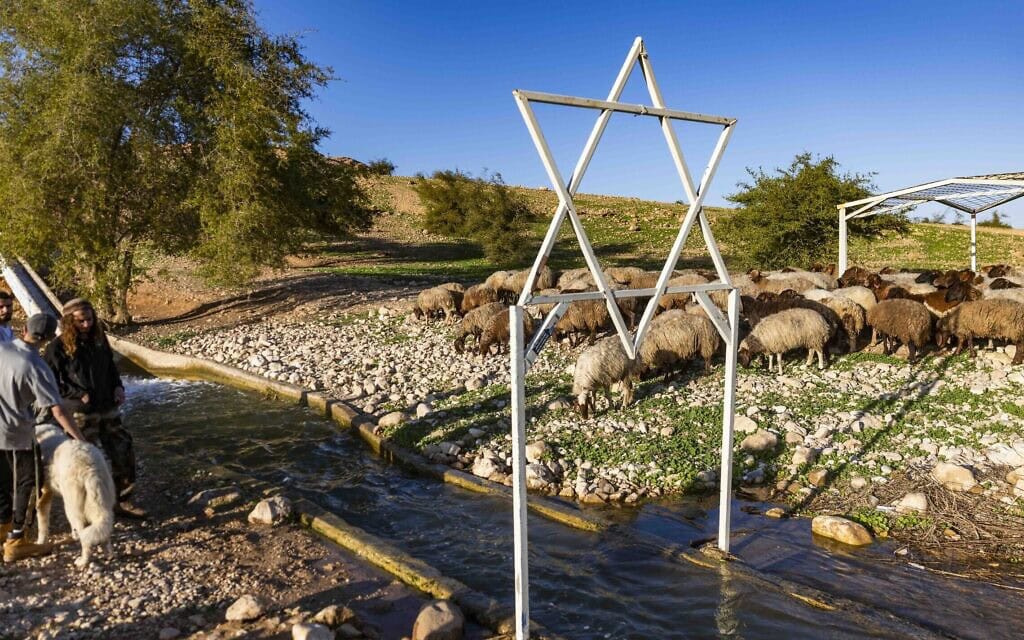 מתנחלים רועים ליד מגן דוד במקווה מים בכפר הפלסטיני אל-עוג׳ה בצפון הגדה. 11 בינואר 2026 (צילום: חיים גולדברג/פלאש90) מתנחלים רועים ליד מגן דוד במקווה מים בכפר הפלסטיני אל-עוג׳ה בצפון הגדה. 11 בינואר 2026 (צילום: חיים גולדברג/פלאש90)