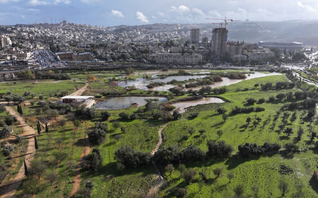 עמק הצבאים, ינואר 2026 (צילום: עמיר בלבן, החברה להגנת הטבע) עמק הצבאים, ינואר 2026 (צילום: עמיר בלבן, החברה להגנת הטבע)