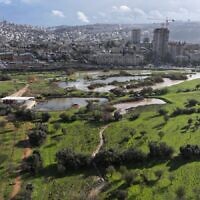 עמק הצבאים, ינואר 2026