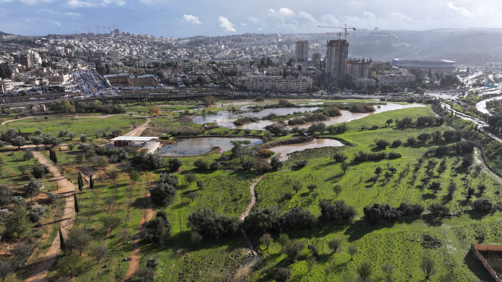 עמק הצבאים, ינואר 2026 (צילום: עמיר בלבן, החברה להגנת הטבע) עמק הצבאים, ינואר 2026 (צילום: עמיר בלבן, החברה להגנת הטבע)