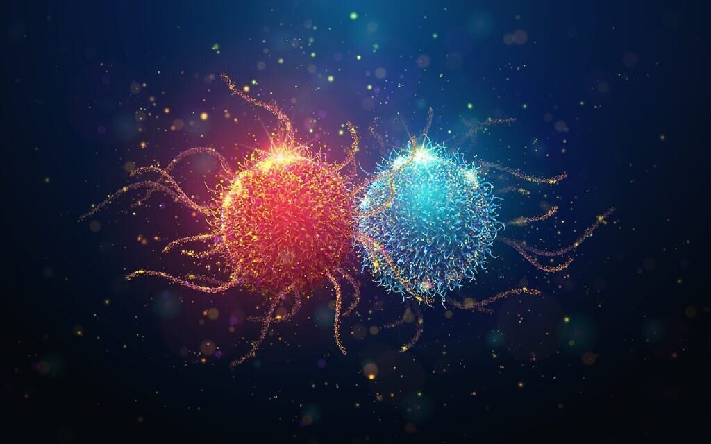 תא סרטני ליד תא בריא, אילוסטרציה (צילום: artacet / iStock) תא סרטני ליד תא בריא, אילוסטרציה (צילום: artacet / iStock)