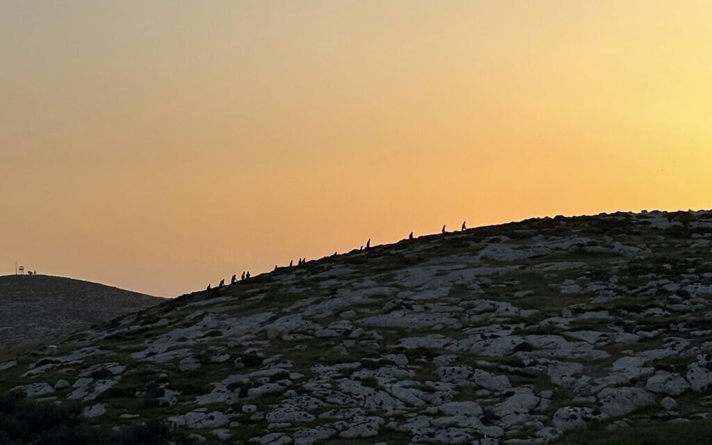 מתנחלים עולים על גבעה במרכז הגדה המערבית במטרה להקים מחדש את המאחז הבלתי חוקי קול מבשר. 18 במרץ 2026 (צילום: תורת צדק) מתנחלים עולים על גבעה במרכז הגדה המערבית במטרה להקים מחדש את המאחז הבלתי חוקי קול מבשר. 18 במרץ 2026 (צילום: תורת צדק)