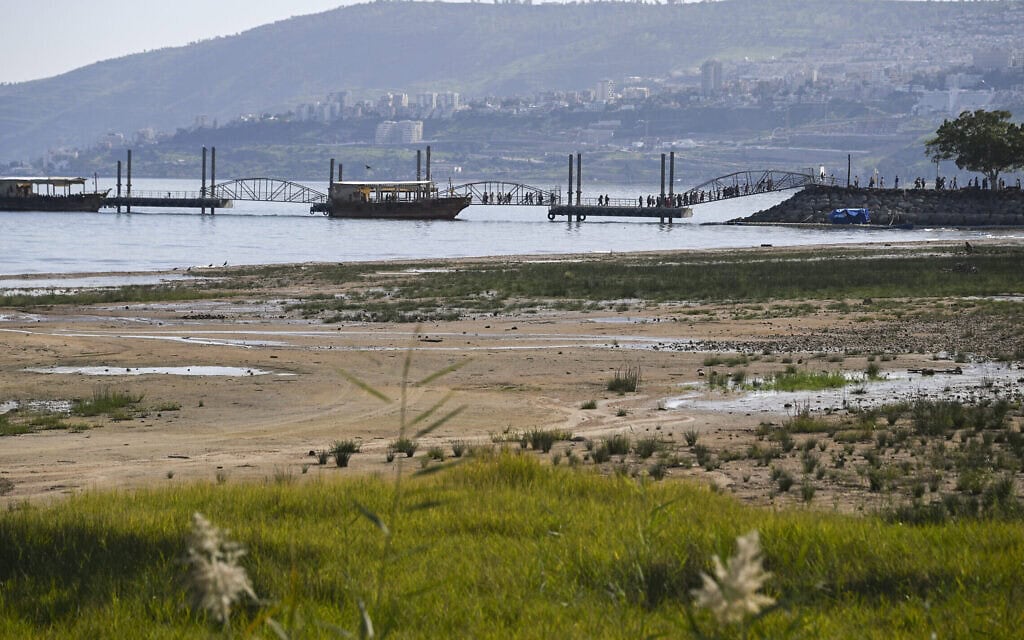אנשים נהנים מיום חורפי חם בכינרת, 5 בפברואר 2026 (צילום: מיכאל גלעדי/פלאש90) אנשים נהנים מיום חורפי חם בכינרת, 5 בפברואר 2026 (צילום: מיכאל גלעדי/פלאש90)