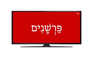 פַּרְשָׁנִים פַּרְשָׁנִים