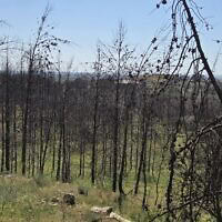 מבט על פארק קנדה, אפריל 2026