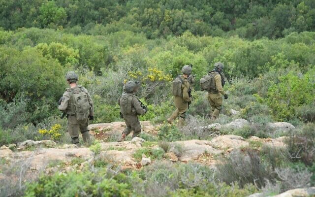 פעילות כוחות צה פעילות כוחות צה