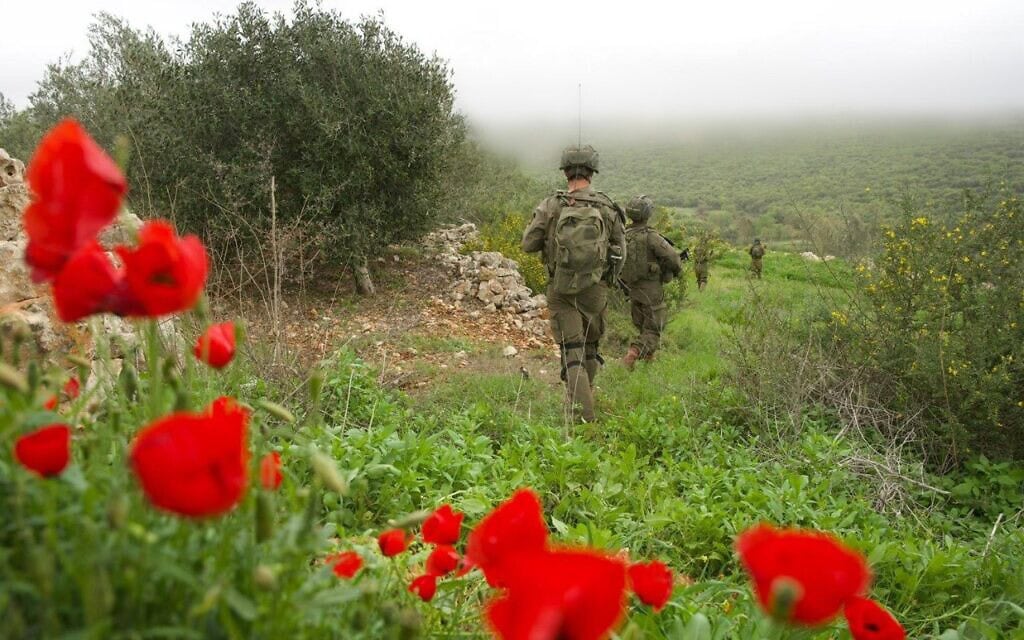 פעילות כוחות צה