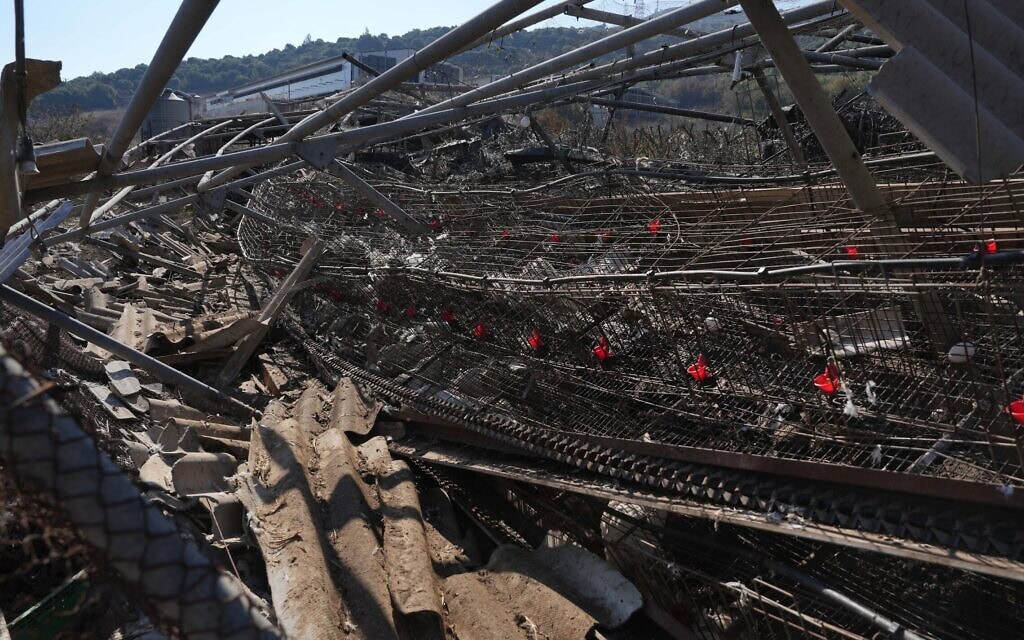 לול תרנגולות במושב מרגליות שנפגע מירי מלבנון, נובמבר 2024 (צילום: אייל מרגולין/פלאש90) לול תרנגולות במושב מרגליות שנפגע מירי מלבנון, נובמבר 2024 (צילום: אייל מרגולין/פלאש90)