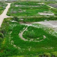 בריכות דגים מיובשות בעמק המעיינות, אפריל 2026