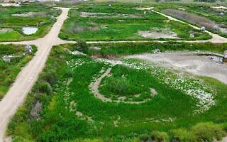 בריכות דגים מיובשות בעמק המעיינות, אפריל 2026 (צילום: באדיבות מועצה אזורית עמק המעיינות) בריכות דגים מיובשות בעמק המעיינות, אפריל 2026 (צילום: באדיבות מועצה אזורית עמק המעיינות)