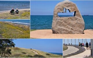 טיילת חולדה גורביץ' בחיפה, אפריל 2026 (צילום: אביב לביא) טיילת חולדה גורביץ' בחיפה, אפריל 2026 (צילום: אביב לביא)