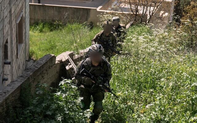 פעילות צה פעילות צה