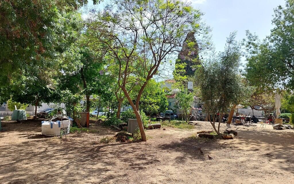 גינה קהילתית ליד קפה שפירא בתל אביב, מאי 2026 (צילום: עומר שרביט) גינה קהילתית ליד קפה שפירא בתל אביב, מאי 2026 (צילום: עומר שרביט)