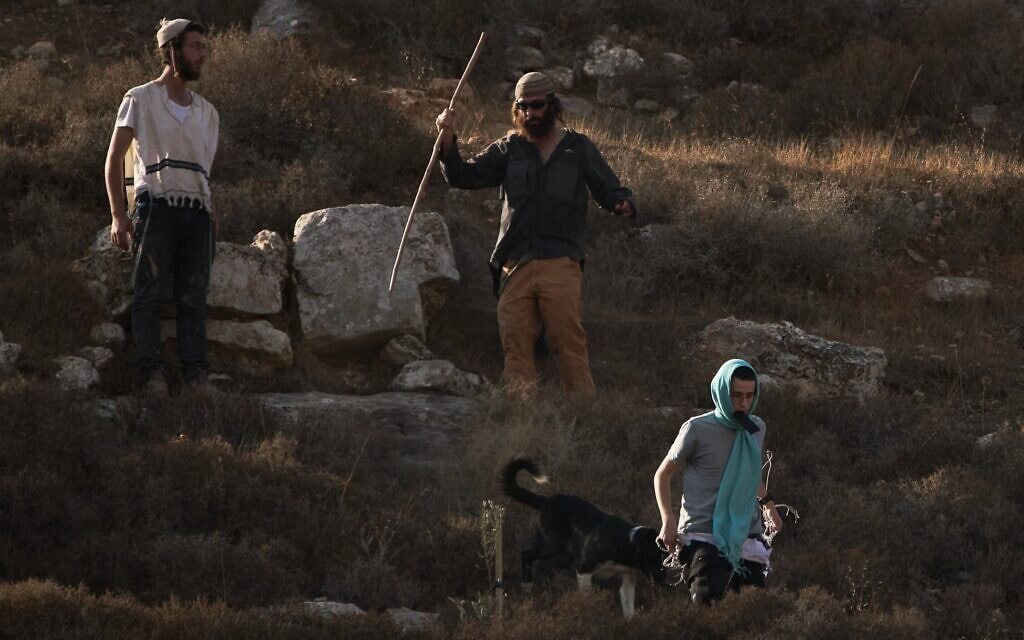 מתנחלים ישראלים באזור הכפר סעיר שבגדה המערבית, סמוך לחברון, 23 באוקטובר 2025 (צילום: AP Photo/Leo Correa) מתנחלים ישראלים באזור הכפר סעיר שבגדה המערבית, סמוך לחברון, 23 באוקטובר 2025 (צילום: AP Photo/Leo Correa)