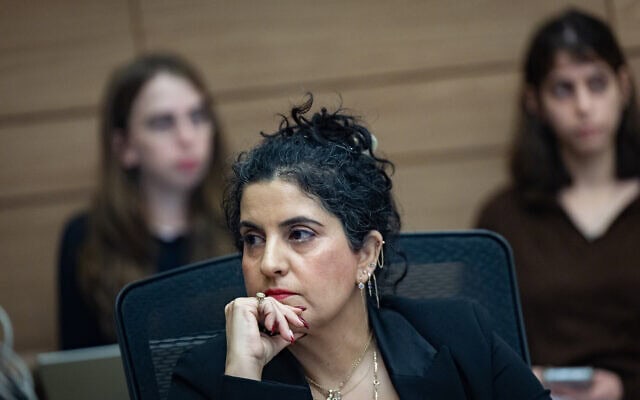 היועצת המשפטית של הכנסת שגית אפיק בדיון של ועדת הכנסת, 1 בדצמבר 2025 (צילום: יונתן זינדל/פלאש90) היועצת המשפטית של הכנסת שגית אפיק בדיון של ועדת הכנסת, 1 בדצמבר 2025 (צילום: יונתן זינדל/פלאש90)