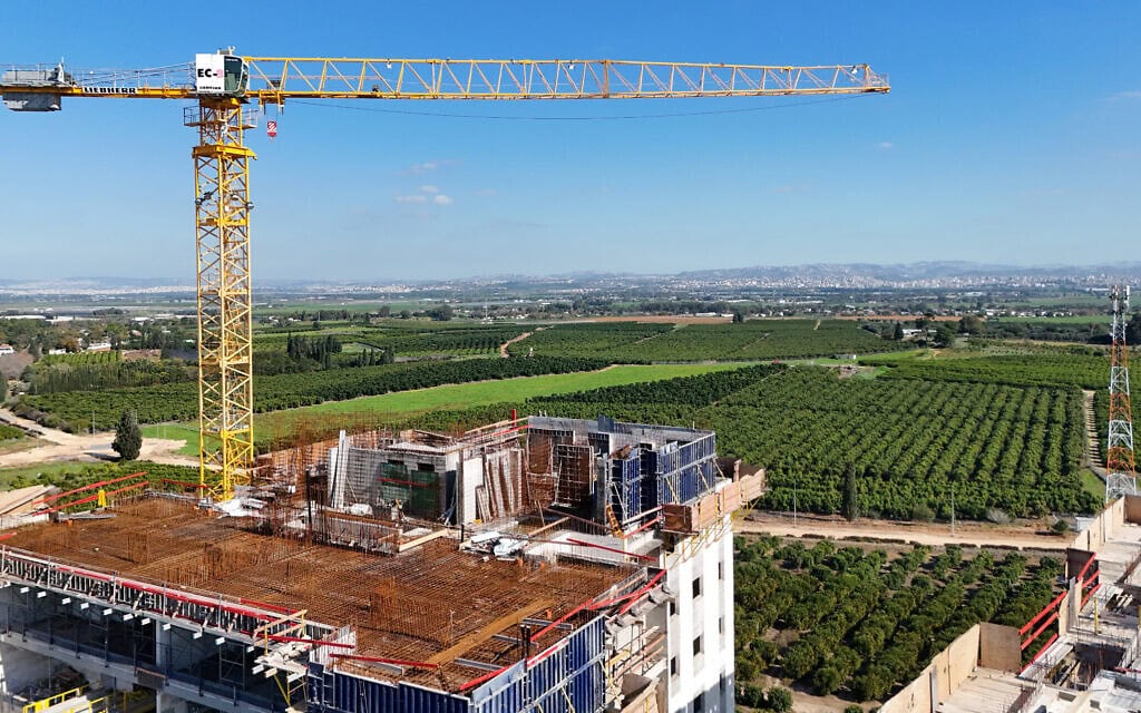כפר יונה, עמק חפר, 2026 (צילום: שחר יערי/פלאש90)