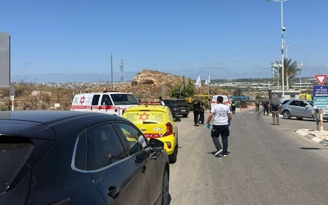 רכבי מגן דוד אדום בזירת פיגוע באזור כוכב יאיר. 7 ביוני 2026 (צילום: דוברות מד רכבי מגן דוד אדום בזירת פיגוע באזור כוכב יאיר. 7 ביוני 2026 (צילום: דוברות מד