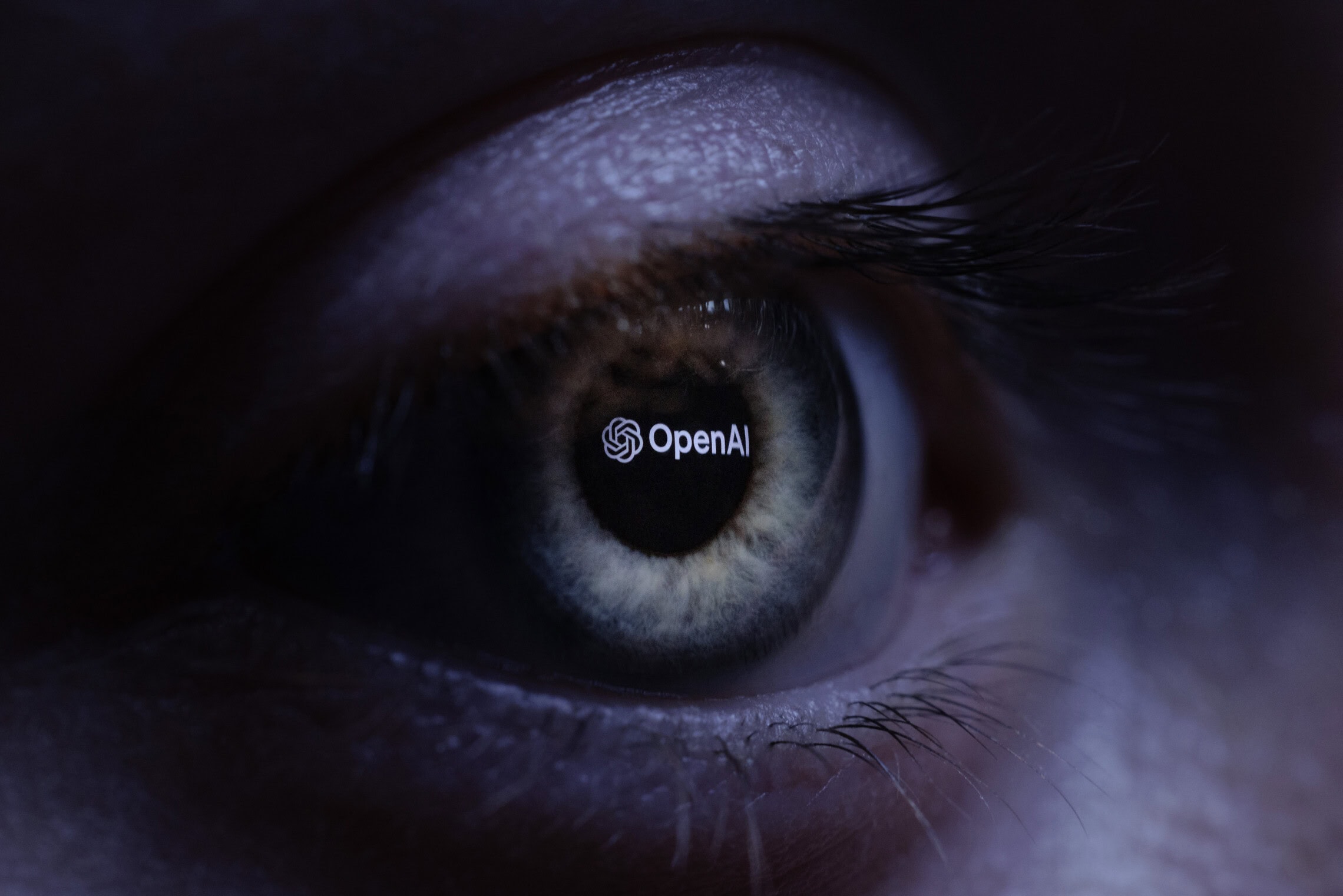 אילוסטרציה: לוגו של OpenAI מוקרן על עין אנושית (צילום: JOEL SAGET / AFP) אילוסטרציה: לוגו של OpenAI מוקרן על עין אנושית (צילום: JOEL SAGET / AFP)