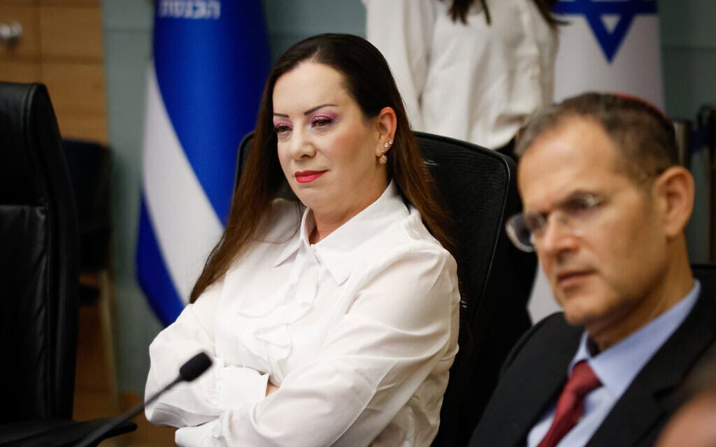 ח״כ טלי גוטליב בוועדת הכנסת. 15 ביוני 2026 (צילום: נועם מושקוביץ, דוברות הכנסת) ח״כ טלי גוטליב בוועדת הכנסת. 15 ביוני 2026 (צילום: נועם מושקוביץ, דוברות הכנסת)