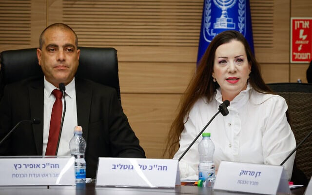 חברת הכנסת טלי גוטליב בוועדת הכנסת בדיון על חסינותה. 8 ביוני 2026 (צילום: נועם מושקוביץ, דוברות הכנסת) חברת הכנסת טלי גוטליב בוועדת הכנסת בדיון על חסינותה. 8 ביוני 2026 (צילום: נועם מושקוביץ, דוברות הכנסת)