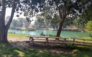 האגם בגן הלאומי ירקון תל אפק (צילום: יניב כהן, רשות הטבע והגנים) האגם בגן הלאומי ירקון תל אפק (צילום: יניב כהן, רשות הטבע והגנים)